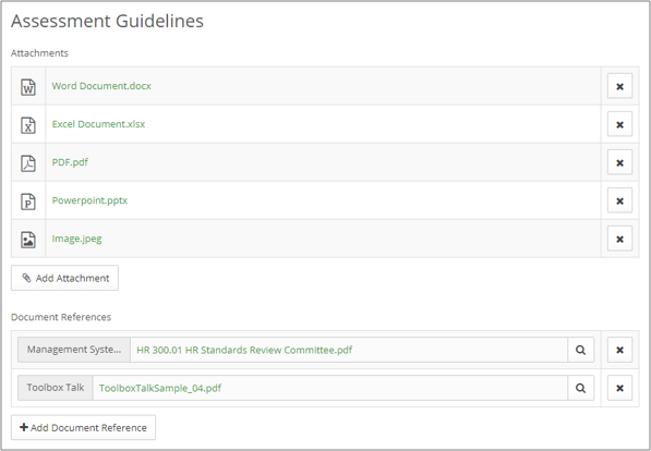 Assessment Guidelines