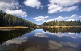 Environmental Management Software 