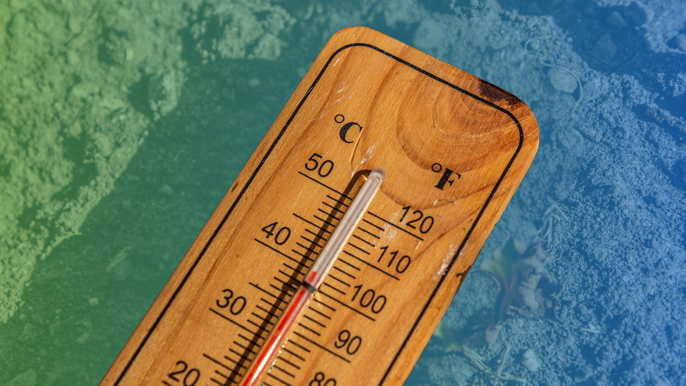 heatsafety