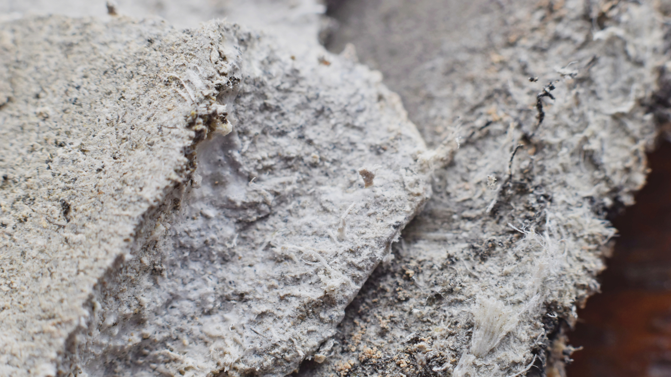 What Is Asbestos? Your Guide to Asbestos Workplace Safety What Is Asbestos? Your Guide to Asbestos Workplace Safety