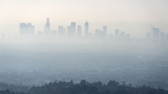 coronavirus pollution