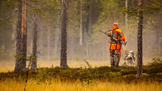 hunting season safety tips
