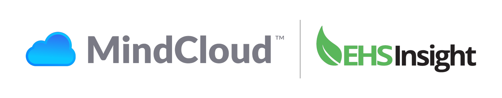 MindCloud EHS Insight Partner Logo